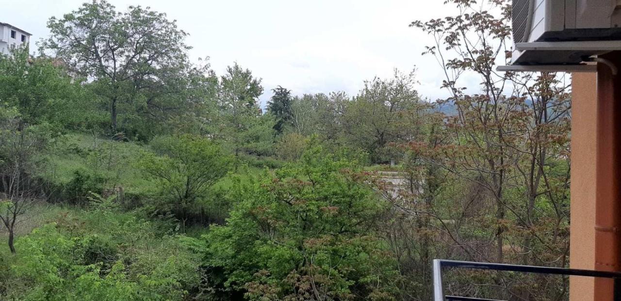 Sandanski Holiday Apartment1 ภายนอก รูปภาพ